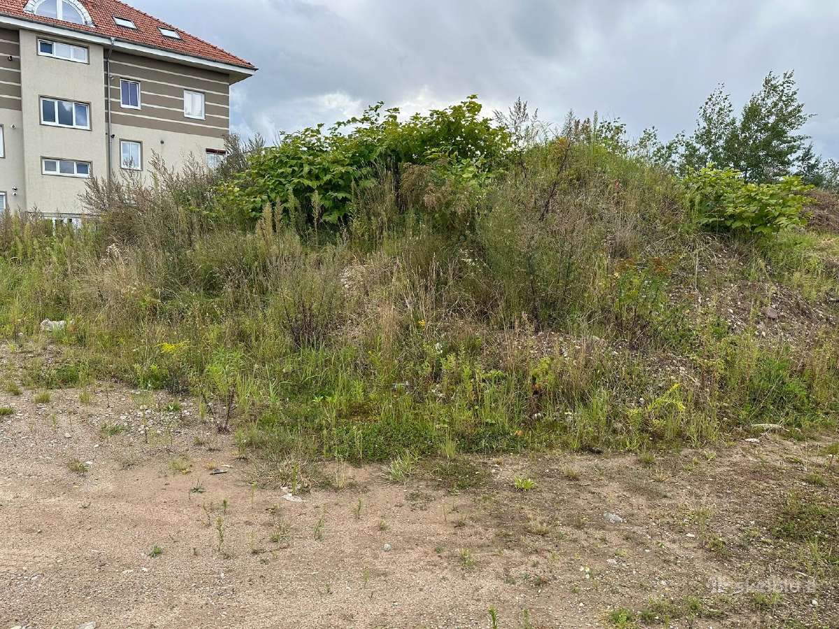 Atiduodu žemes su akmenukais (nuo aikštelės) - nuotraukos Nr. 3