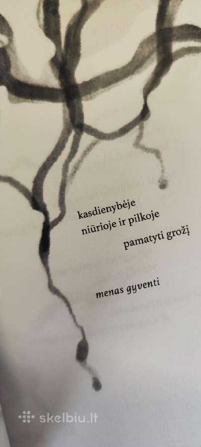 Poetinių miniatiūrų knyga „Akmenukai batuose“ - nuotraukos Nr. 2