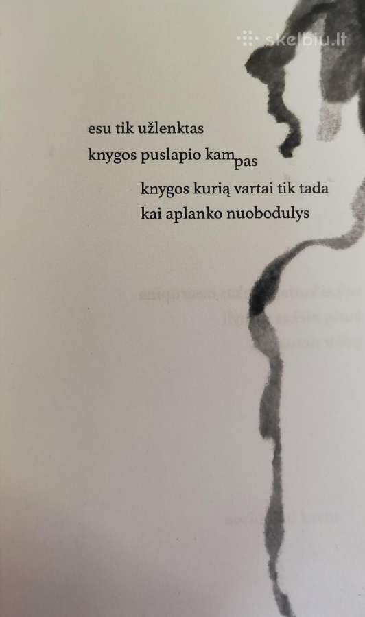 Poetinių miniatiūrų knyga „Akmenukai batuose“ - nuotraukos Nr. 3