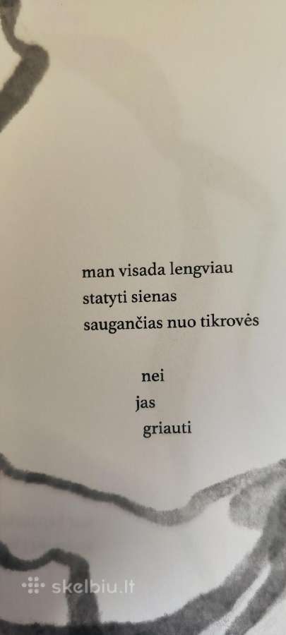 Poetinių miniatiūrų knyga „Akmenukai batuose“ - nuotraukos Nr. 4