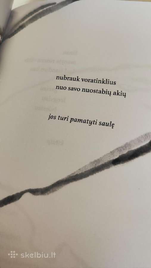 Poetinių miniatiūrų knyga „Akmenukai batuose“ - nuotraukos Nr. 5
