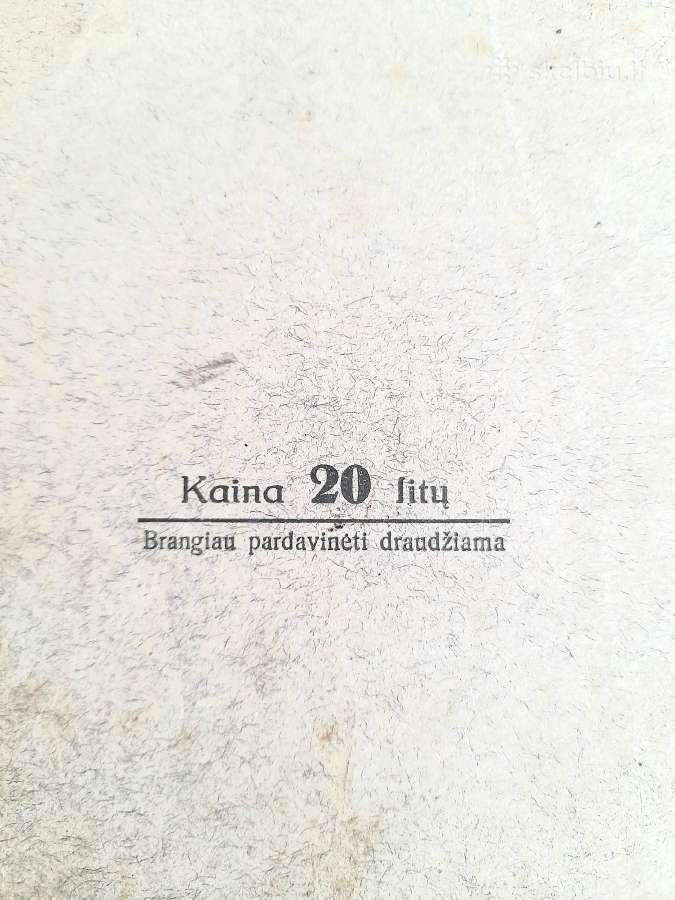 Fizikos paskaitos "Magnetizmas ir elektra" 1926m - nuotraukos Nr. 5