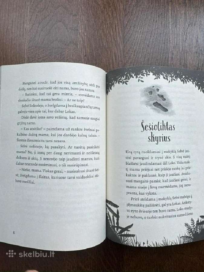 Mergaitė, praradusi leopardą - Nizrana Farook - nuotraukos Nr. 5