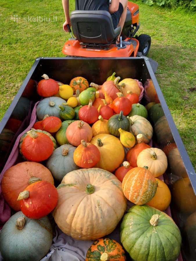 Sodo traktoriai Priekaba, 600 kg - nuotraukos Nr. 9