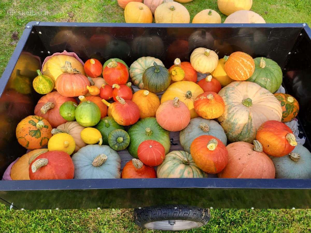 Sodo traktoriai Priekaba, 600 kg - nuotraukos Nr. 10