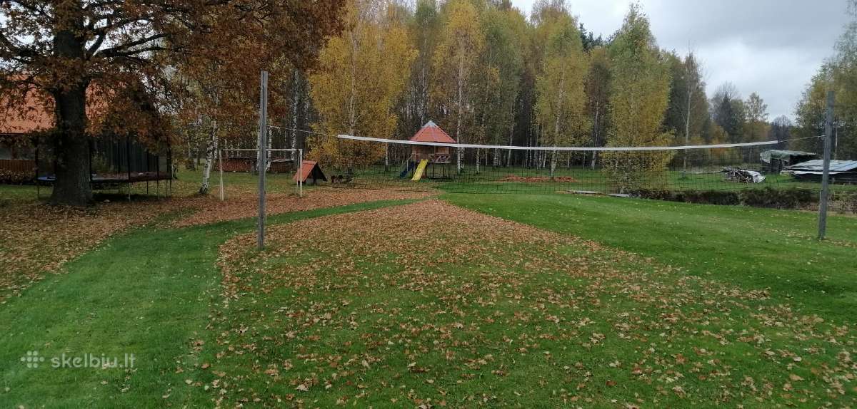 Leavy 120 Žolės Ir Lapų Rinktuvas - nuotraukos Nr. 6