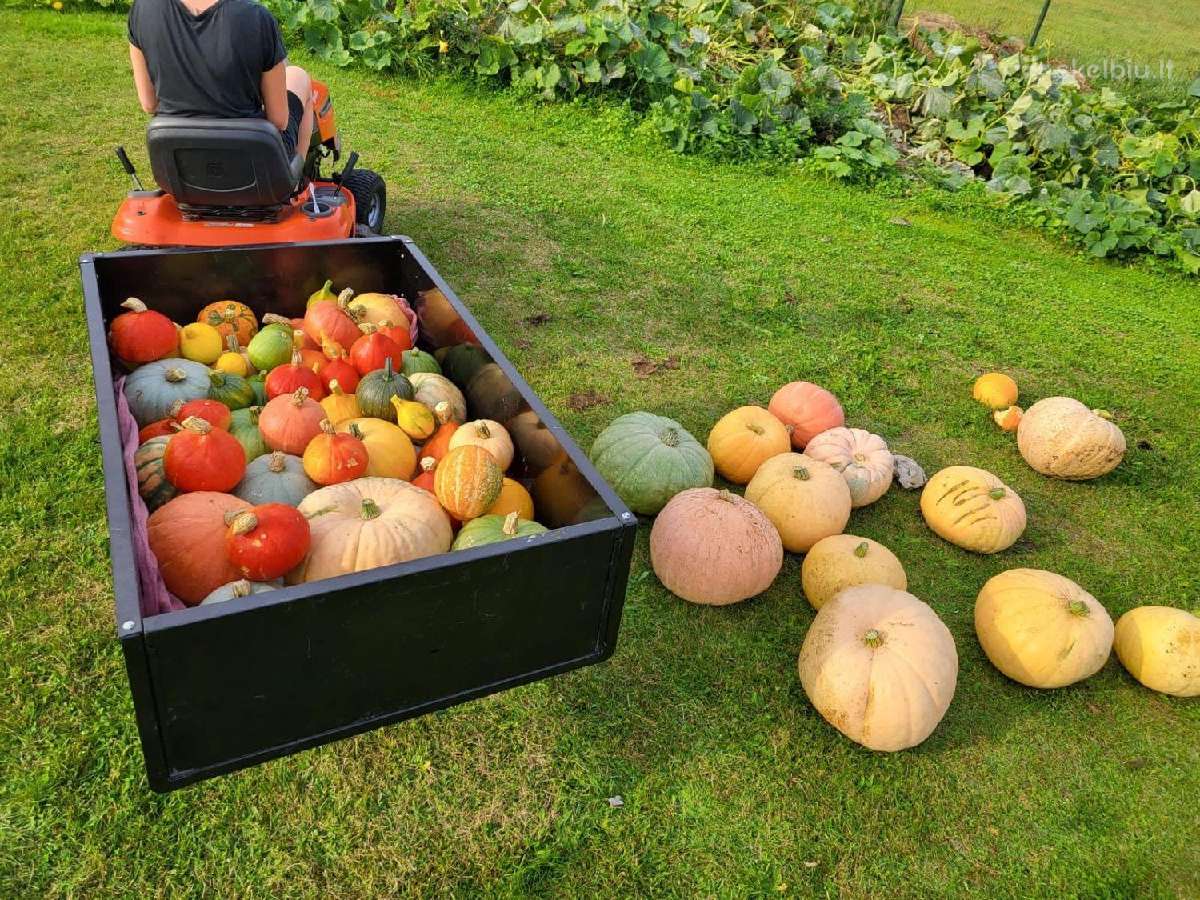 Trolla Denmark priekaba, 600 kg - nuotraukos Nr. 12