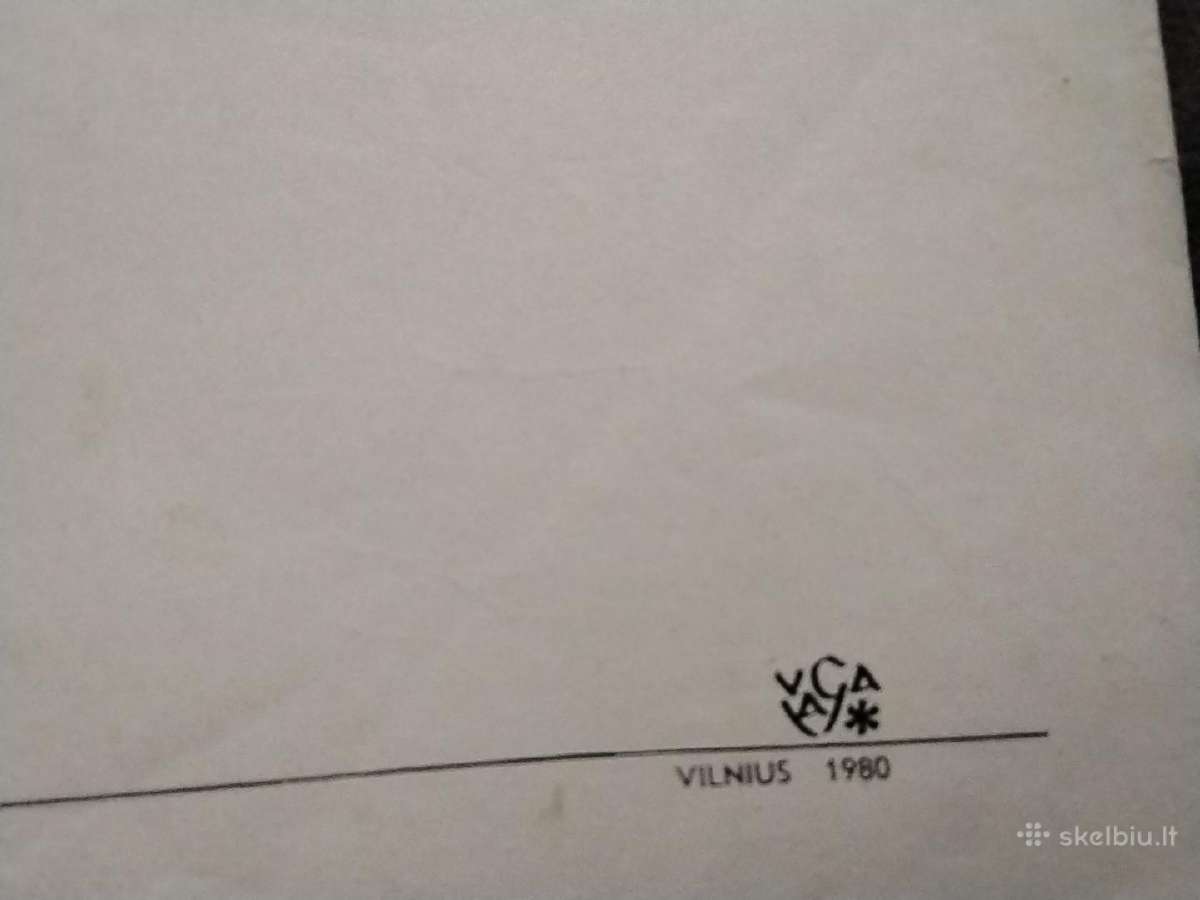 Voltas Disnėjus - Ančiukas Donaldas,peliukas Mikis - nuotraukos Nr. 2