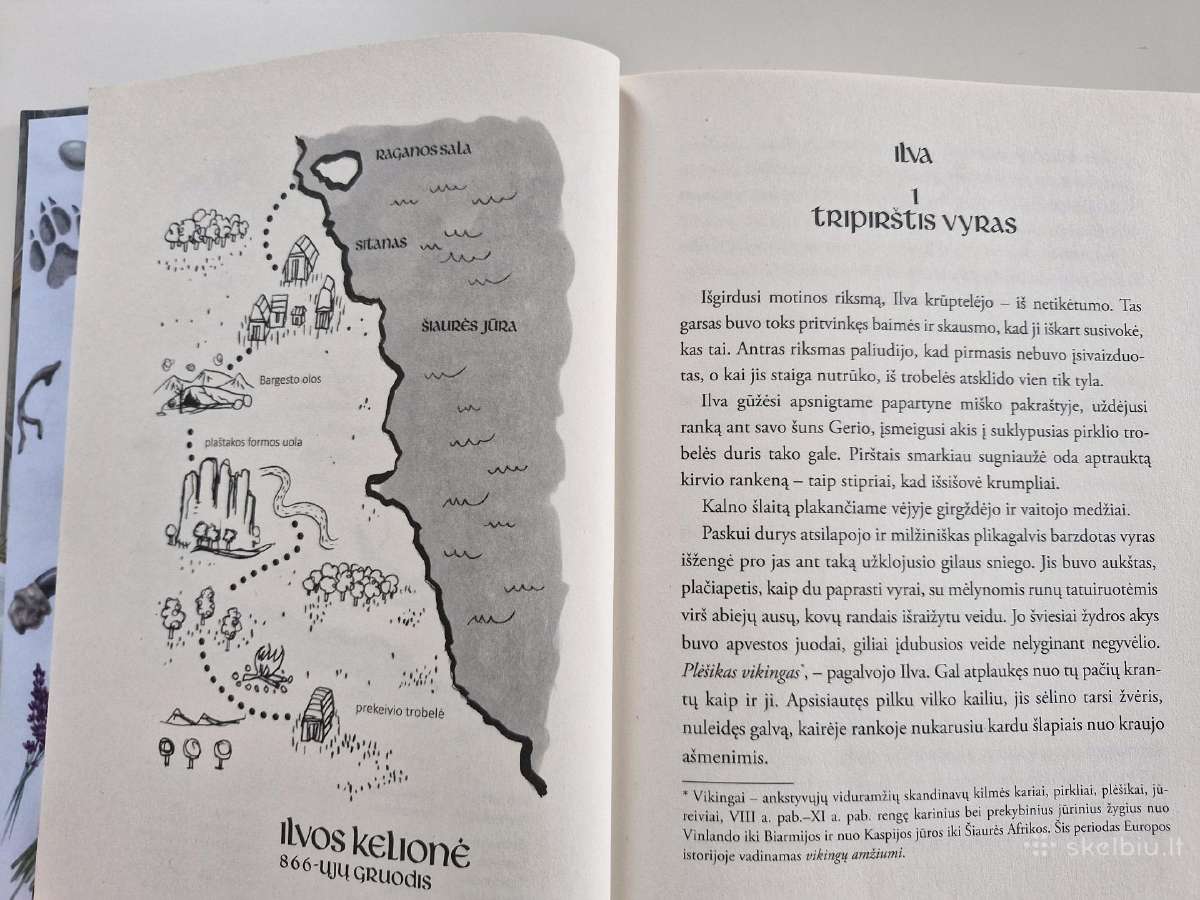 Knyga vaikams Dan Smith Vilkė - nuotraukos Nr. 2