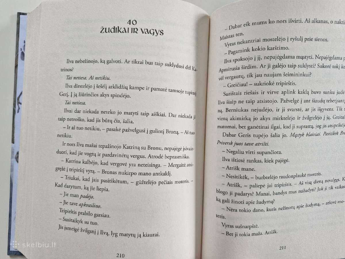 Knyga vaikams Dan Smith Vilkė - nuotraukos Nr. 3