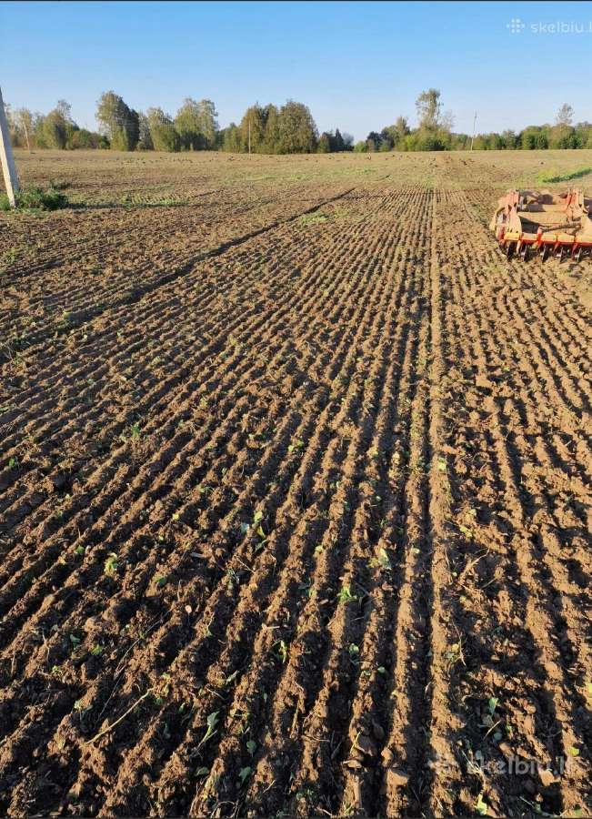 Skutikas vaderstad carrier 5m - nuotraukos Nr. 3