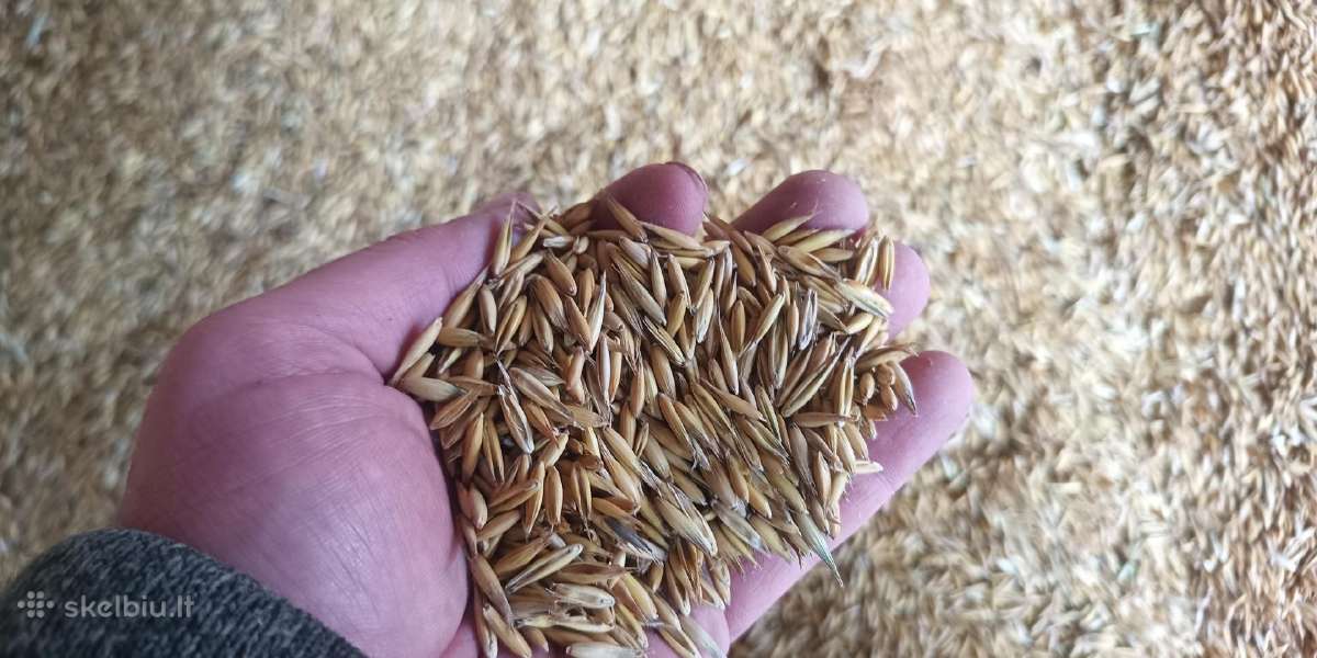 Biokuras, granulės, briketai