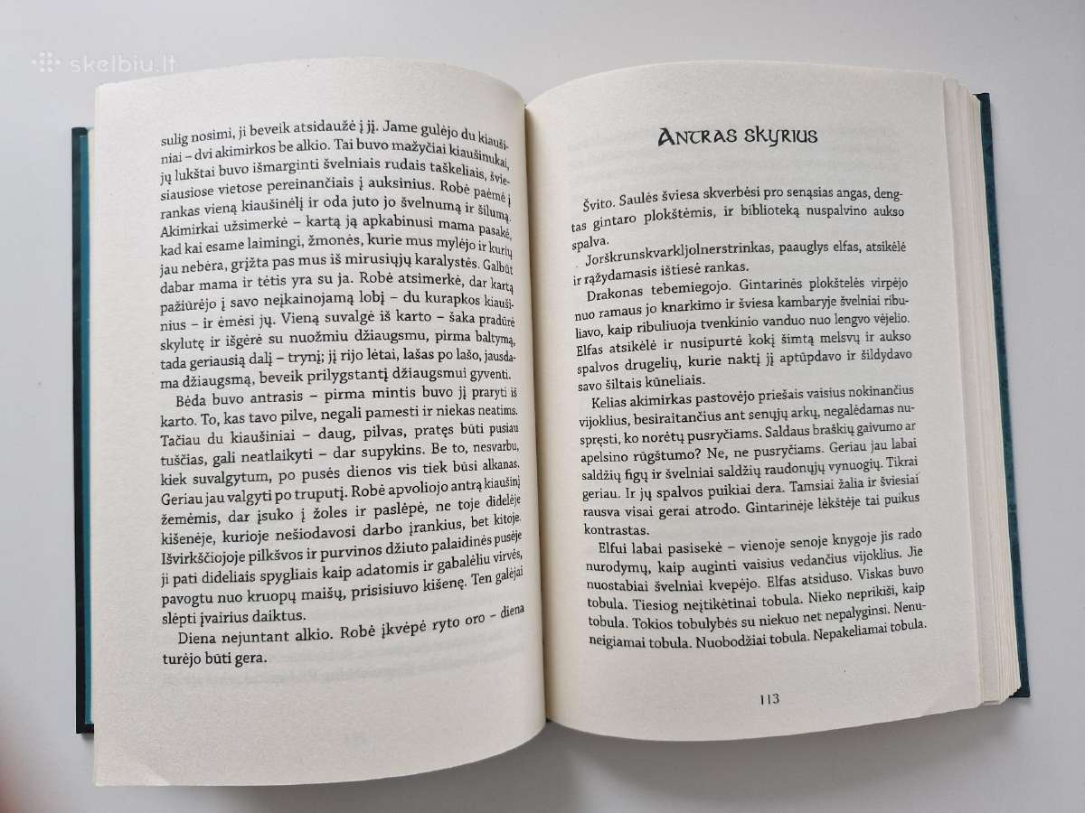 Knyga Silvana De Mari "Paskutinis elfas" - nuotraukos Nr. 2