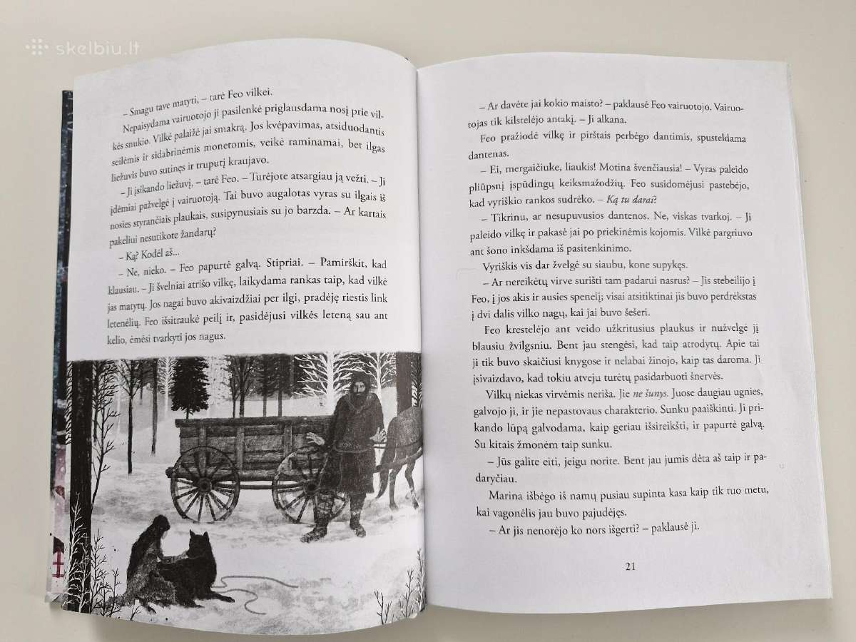 Knyga Katherine Rundell Vilkų mergaitė - nuotraukos Nr. 2