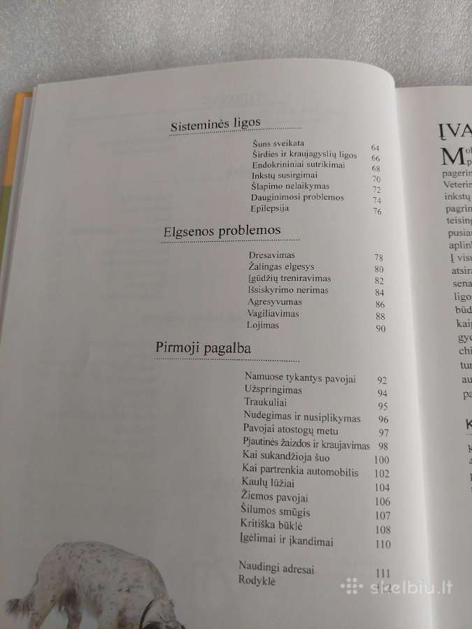 Auginkime sveiką šunį - nuotraukos Nr. 4
