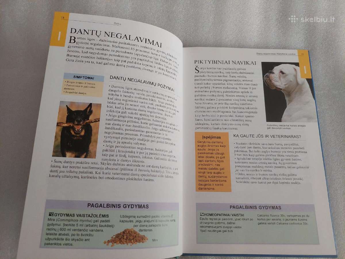 Auginkime sveiką šunį - nuotraukos Nr. 5