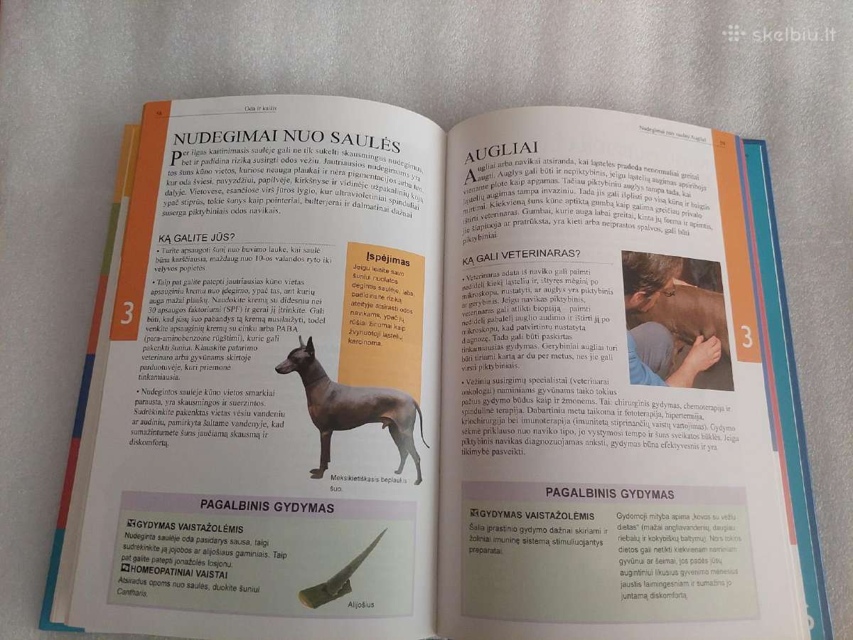 Auginkime sveiką šunį - nuotraukos Nr. 6
