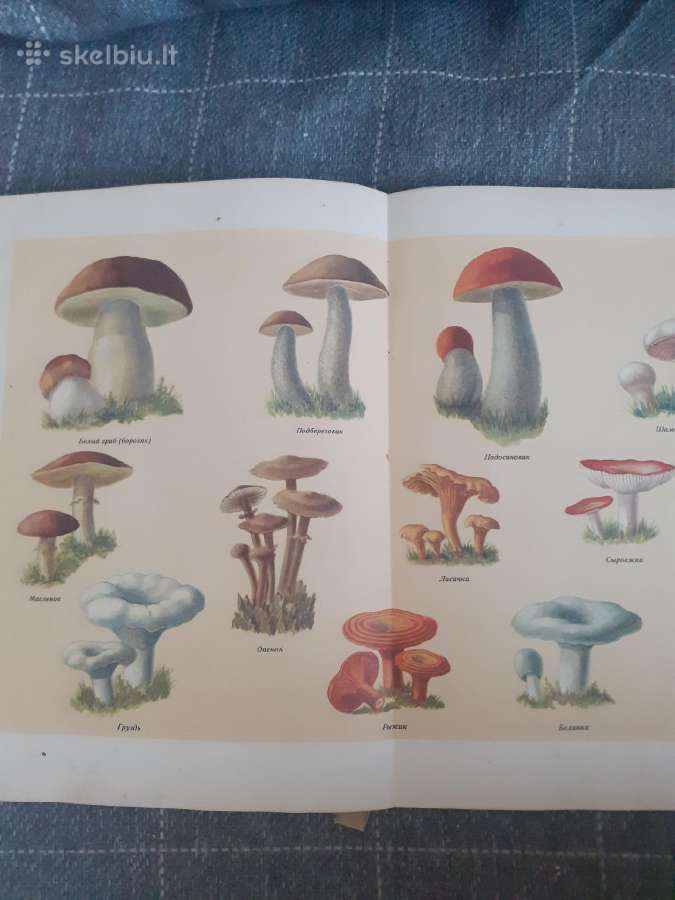Knyga apie skanų ir sveiką maistq. Raritetas. 1952 - nuotraukos Nr. 6