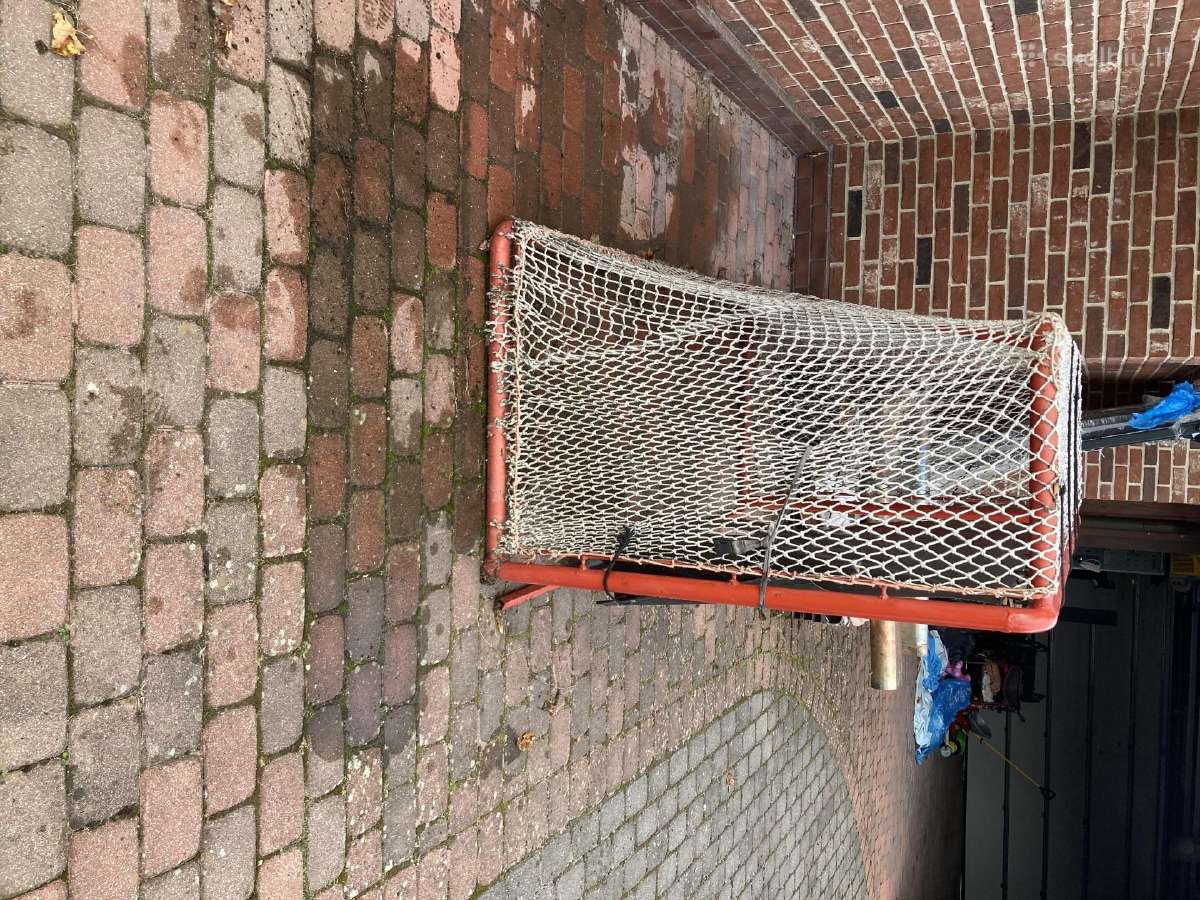 Ledo ritulio vartai.originali išmatavimai. - nuotraukos Nr. 2