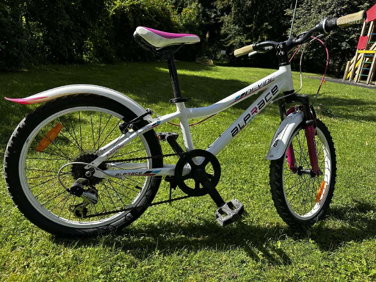 Dviratis 20'' Devine Alprace - nuotraukos Nr. 4