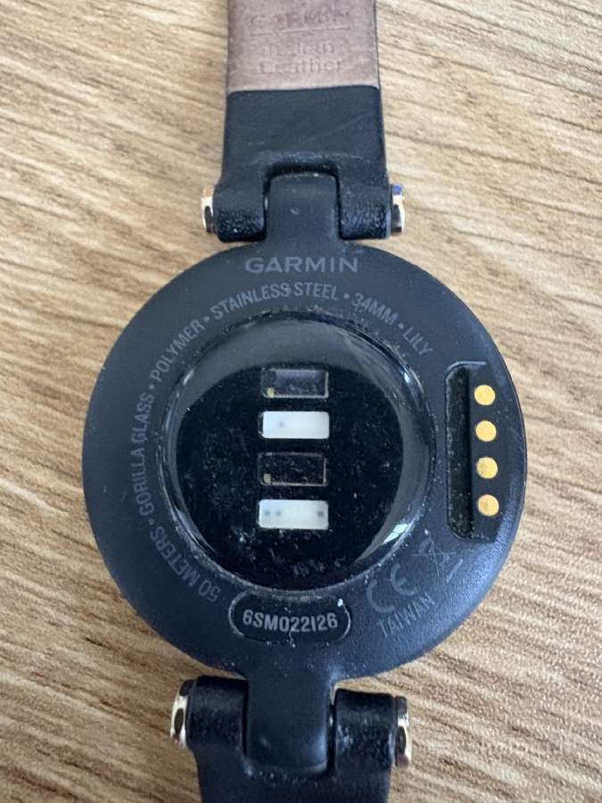 Garmin Lily Sport - nuotraukos Nr. 3