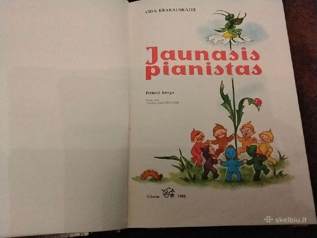 Jaunasis pianistas Taida Balčiūnienė - nuotraukos Nr. 2