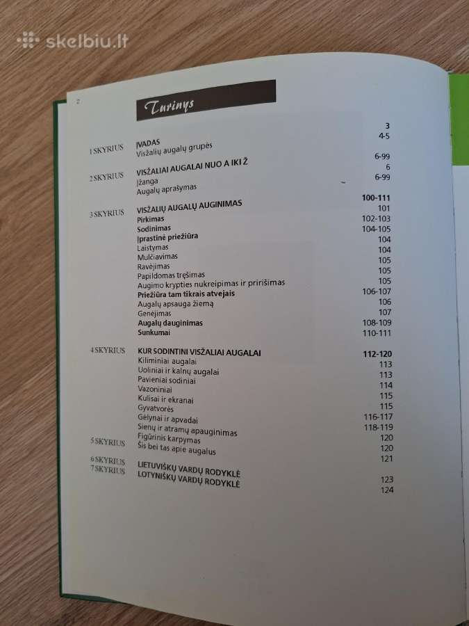 Visžaliai ir kiti dekoratyviniai augalai - nuotraukos Nr. 2