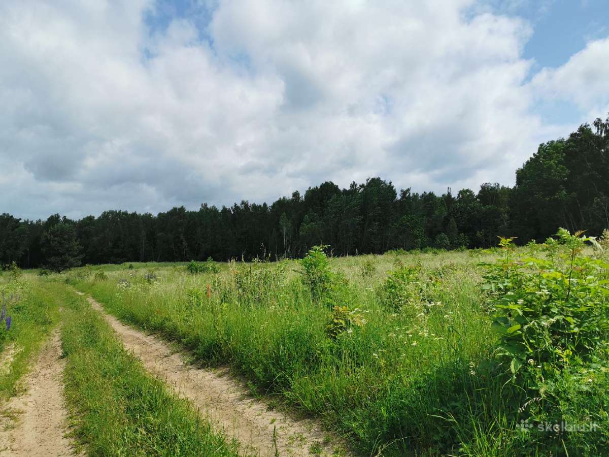 3,9835 ha žemės ūkio paskirties sklypas Trakų raj. - nuotraukos Nr. 4
