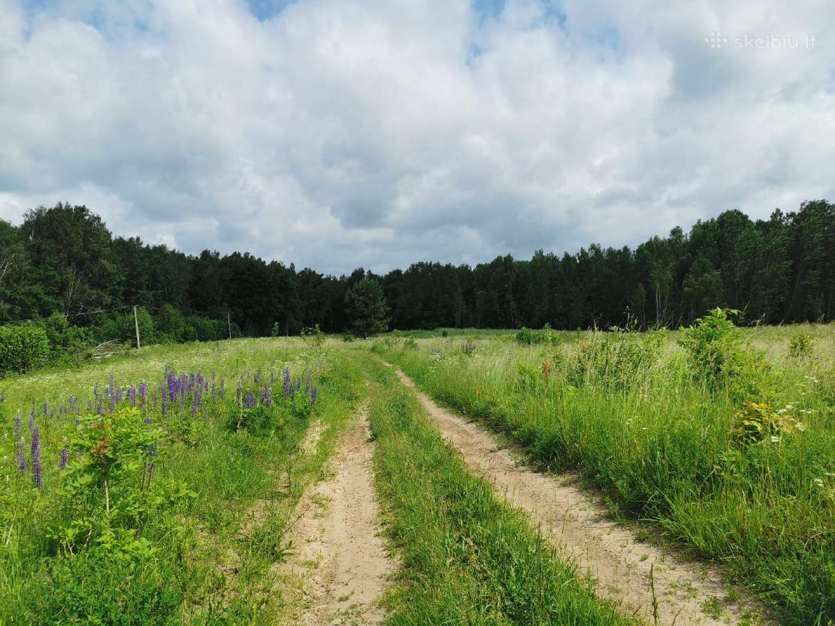 3,9835 ha žemės ūkio paskirties sklypas Trakų raj.