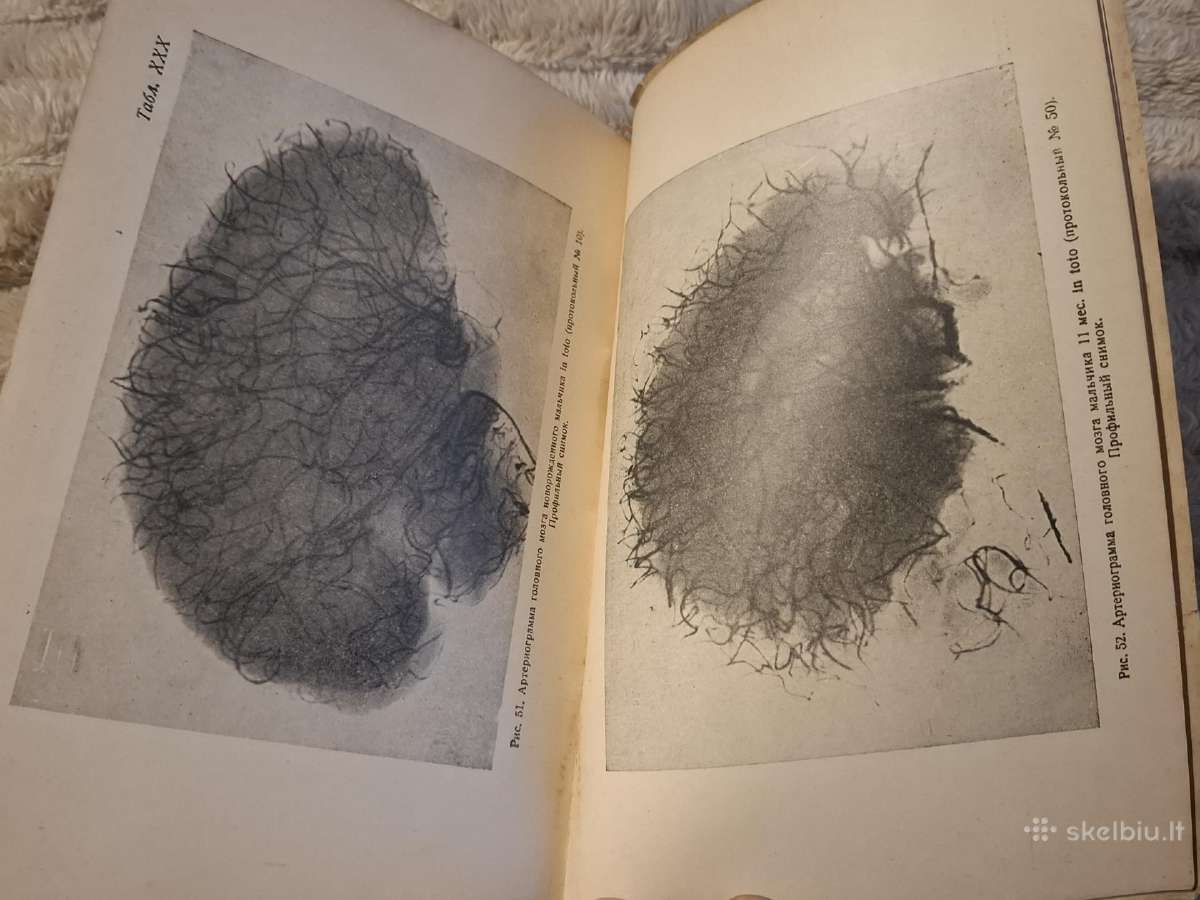 Medicina - nuotraukos Nr. 6