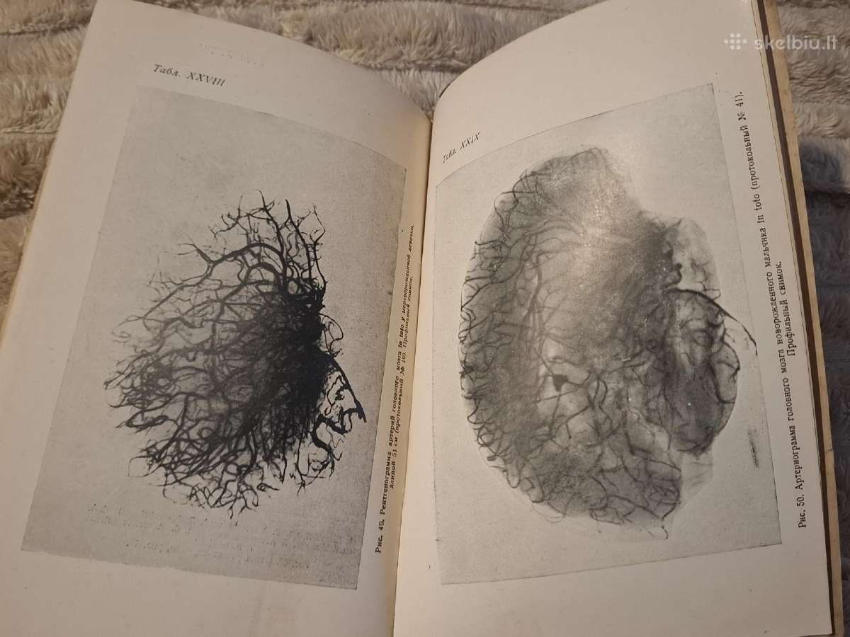Medicina - nuotraukos Nr. 7
