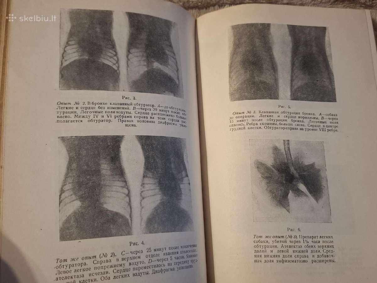 Medicina - nuotraukos Nr. 18