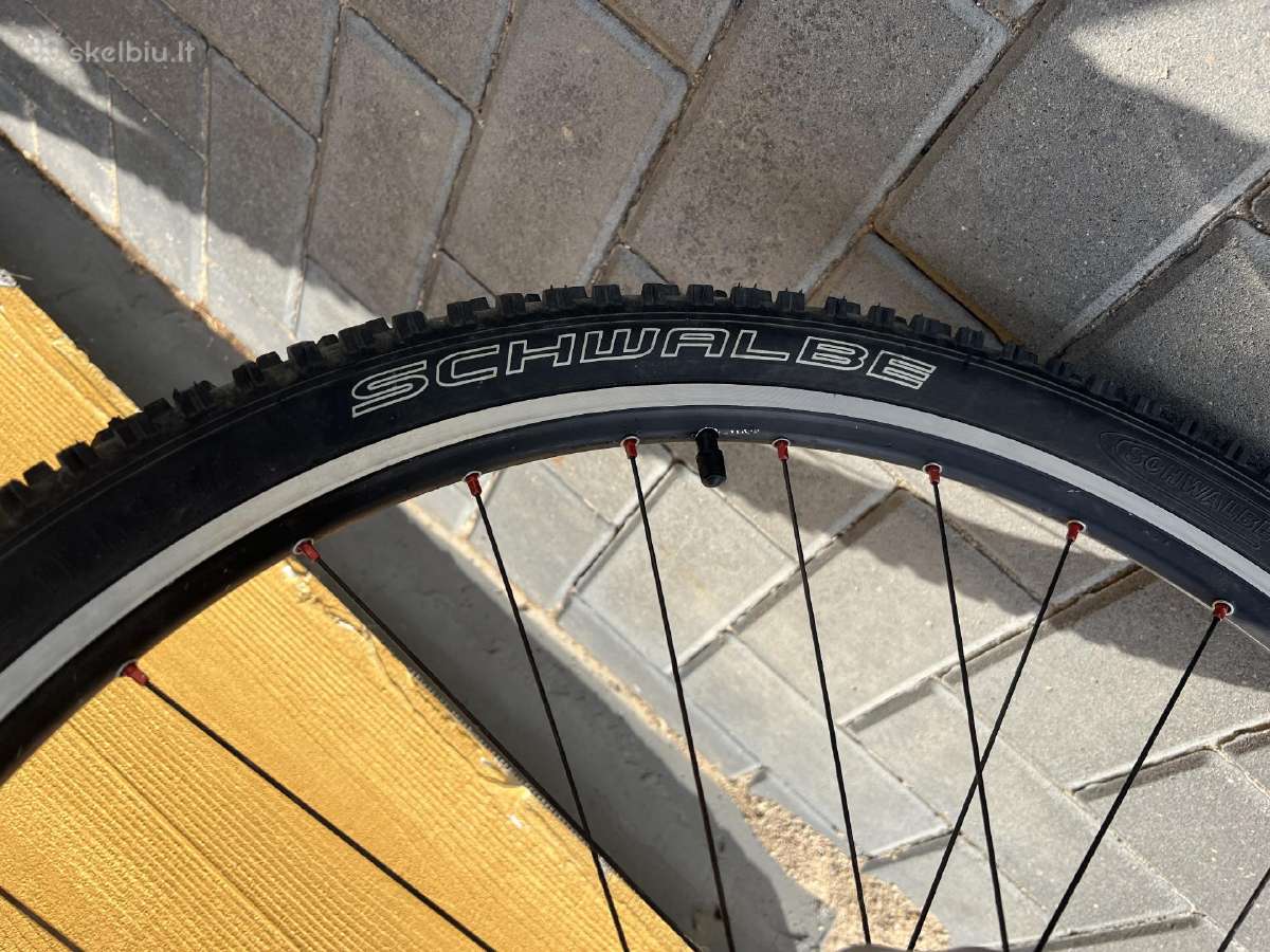 MTB specialized dviratis - nuotraukos Nr. 5