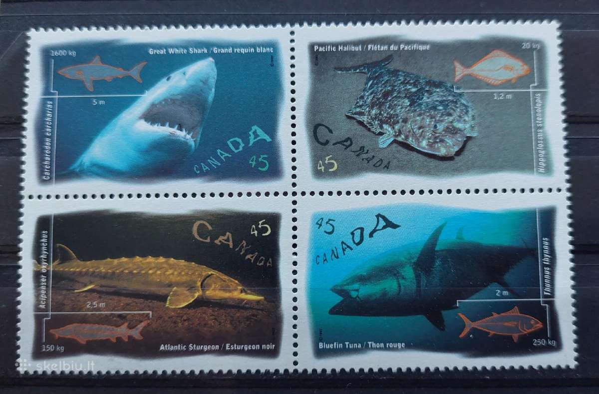 Kanada 1997 jūros fauna, švarūs, Michel 1619-1622