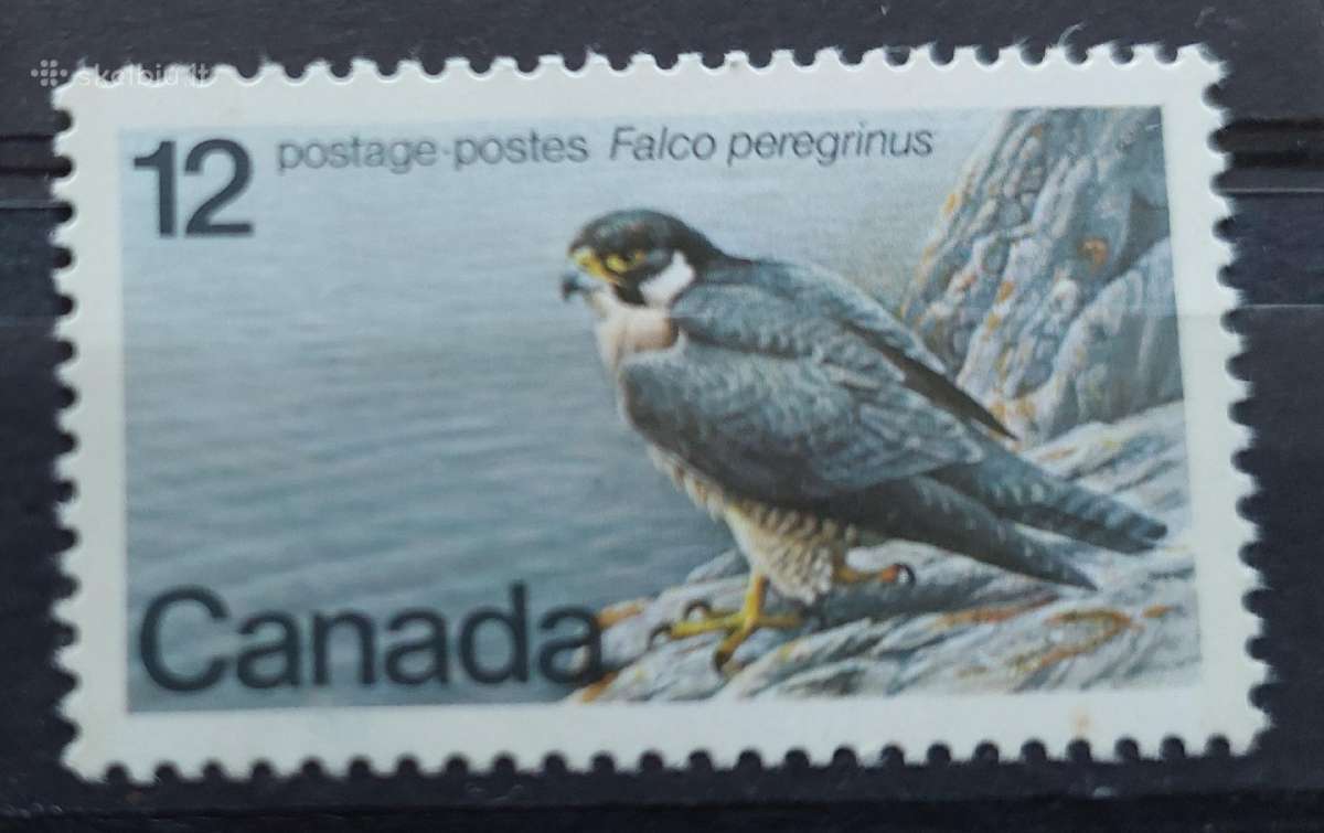 Kanada 1978 paukštis, švarūs, Michel 680