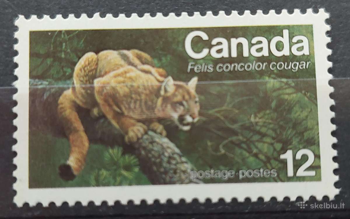 Kanada 1977 leopardas, švarūs, Michel 650