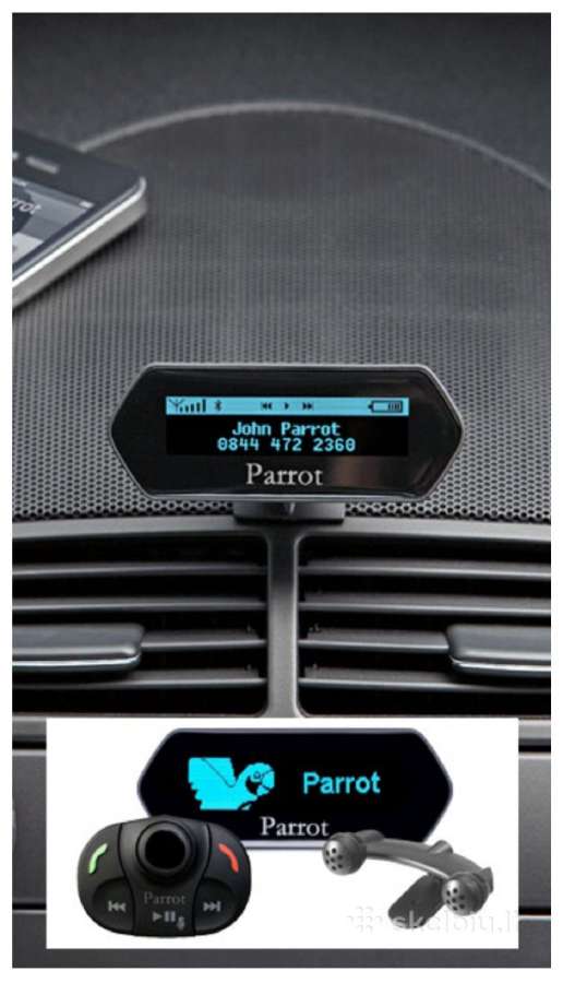 Parrot 9100