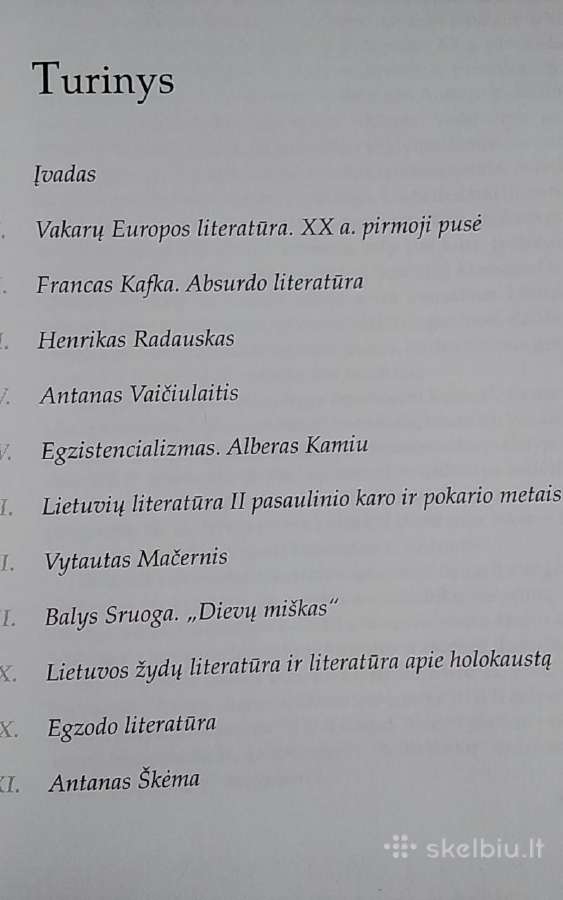 Literatūros vadovėlis 12 klasei. Mokinio knyga - nuotraukos Nr. 3