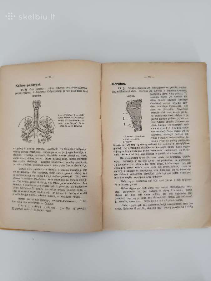 Petro Būtėno knyga 1931 m - nuotraukos Nr. 6