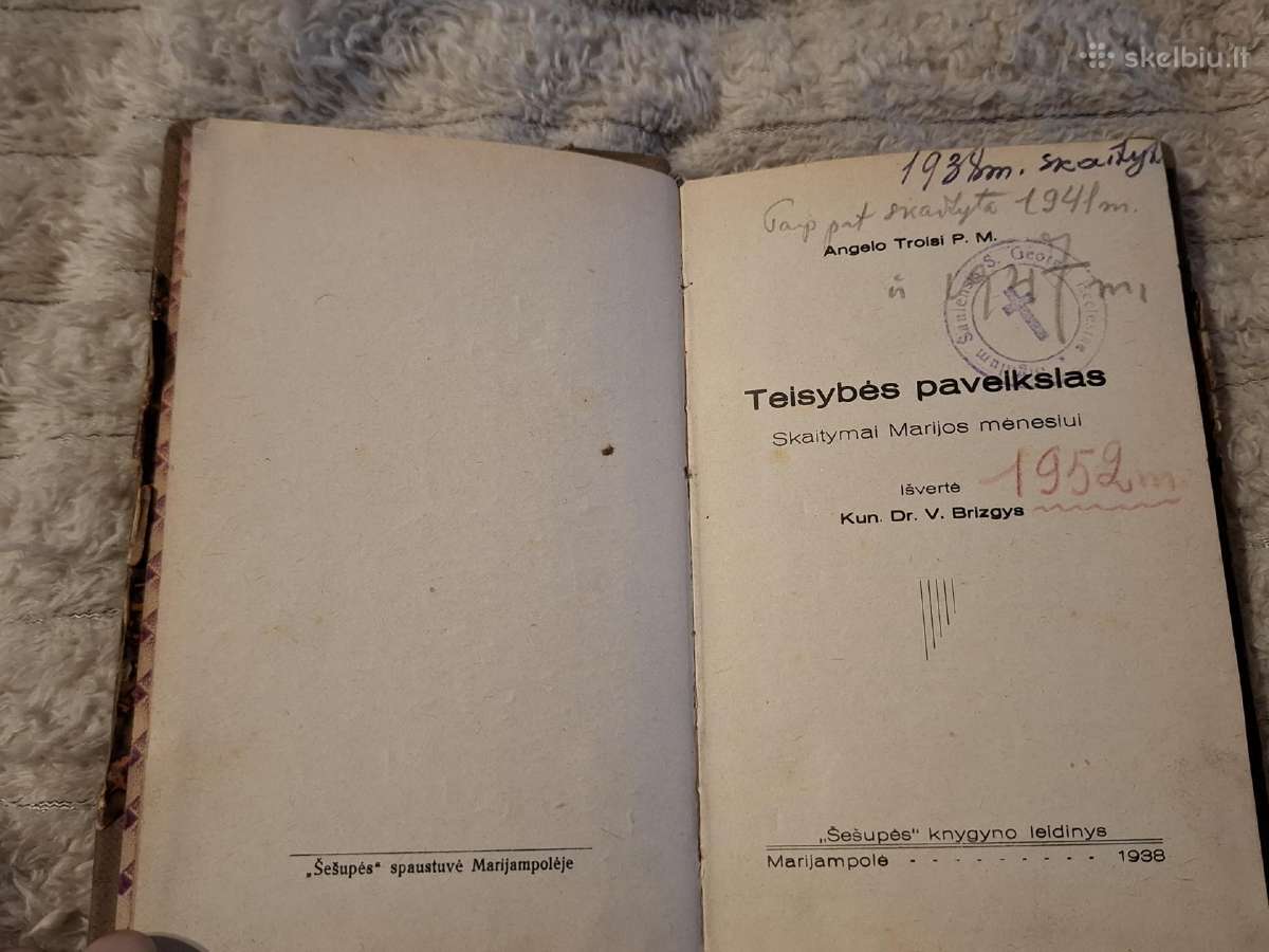 Teisybės paveikslas - nuotraukos Nr. 3