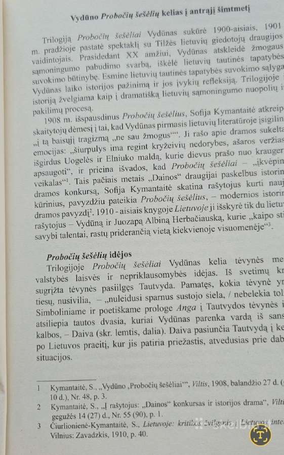 Probočių šešėliai - nuotraukos Nr. 3