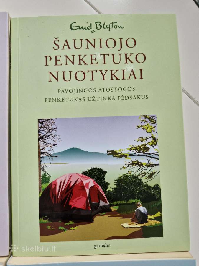 Knygos vaikams Šauniojo penketuko nuotykiai - nuotraukos Nr. 4