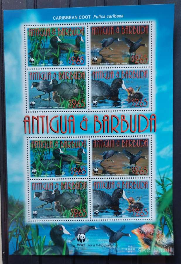 Antigva ir Barbuda 2009 Wwf antis ,lapelis Michel