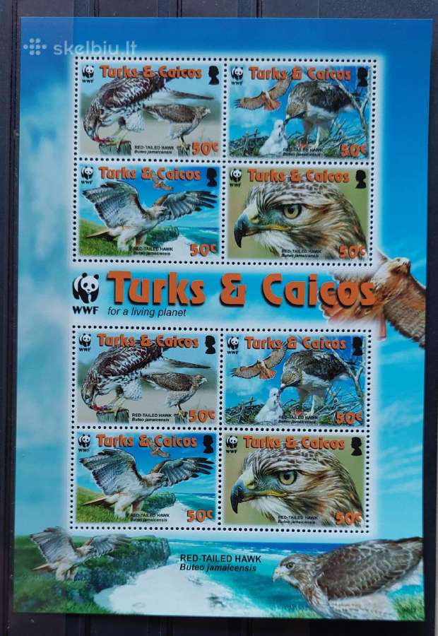 Terksas ir Kaikosas 2007 Wwf ereliai,švarus lapeli