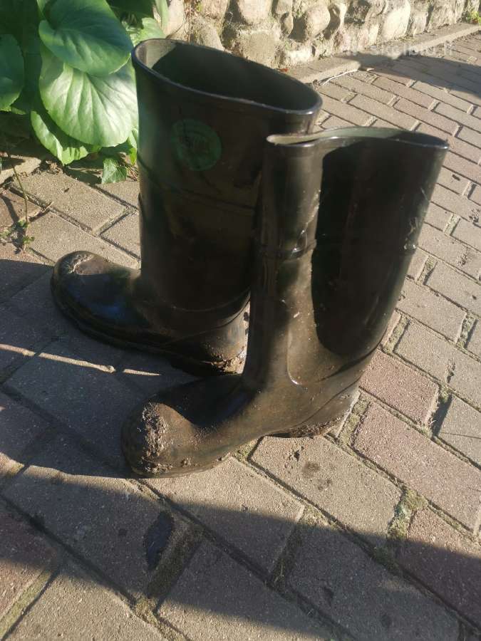 44 dydžio botai