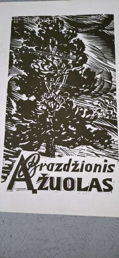 Knygutė B.bradžionio "Ąžuolas "