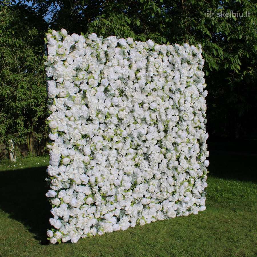 Foto sienų nuoma – visoje Lietuvoje!