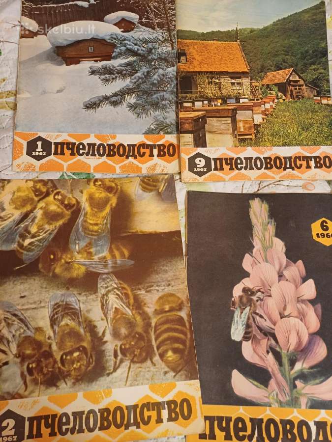 Parduodu 70vnt žurnalų,пчеловодства,1966,67,68,69 - nuotraukos Nr. 12