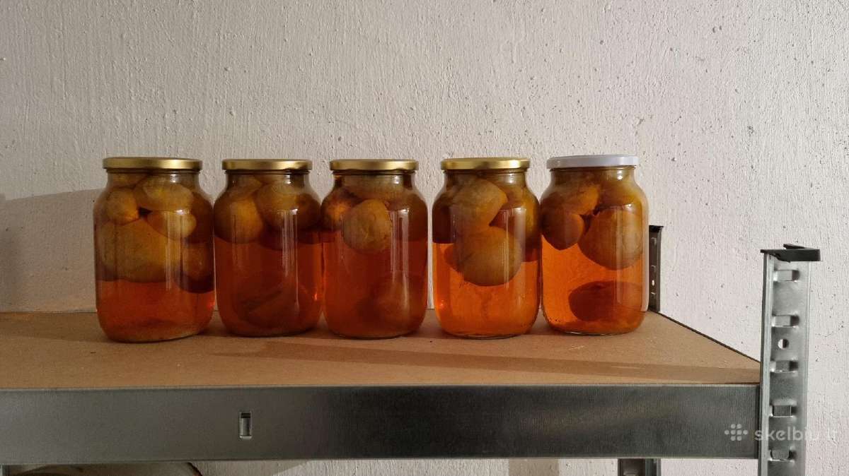 Poniabudės / žemės taukai / vesiolka - nuotraukos Nr. 6