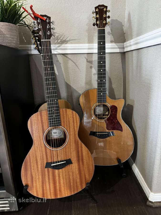 Ieškau Taylor gs mini gitaros